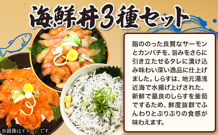 紀州 湯浅 醤油 を使った サーモン と カンパチ の 漬け＆ 釜揚げ しらす の 海鮮丼 3種セット 計300g 魚鶴商店 《30日以内に出荷予定(土日祝除く)》 和歌山県 日高町 サーモン カンパ