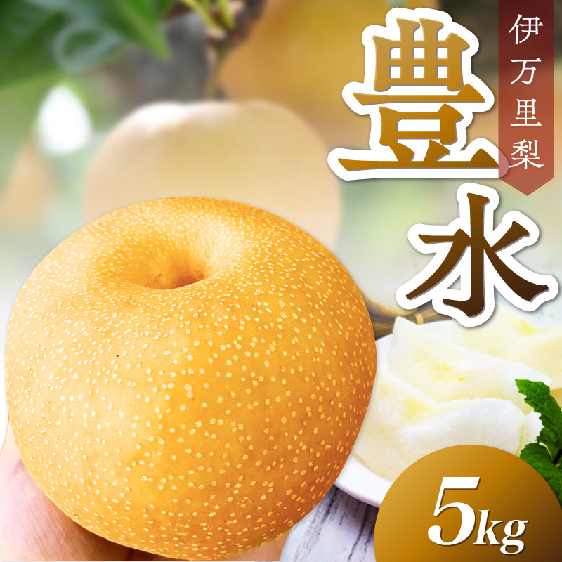 伊万里梨 豊水5kg (8～14玉) 113-B1075