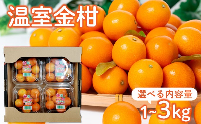 
            KU434 【先行予約・数量限定】温室金柑 1～3kg(250g×4～12パック)
          