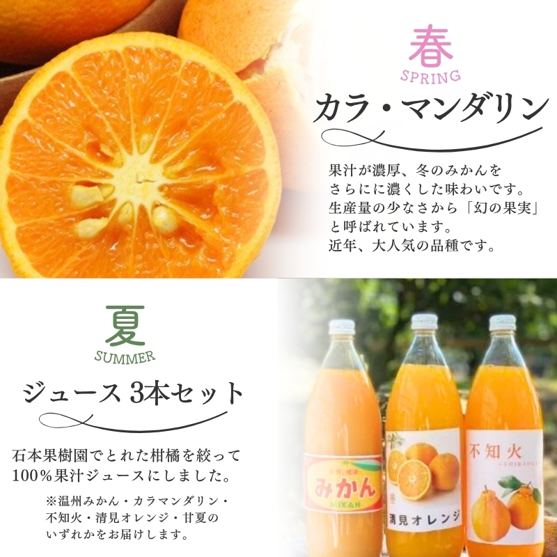 【全4回】 柑橘 定期便 石本果樹園 旬の柑橘を春夏秋冬でお届け！ / みかん フルーツ定期便 みかん フルーツ定期便 みかん フルーツ定期便 みかん フルーツ定期便 みかん フルーツ定期便 みかん 