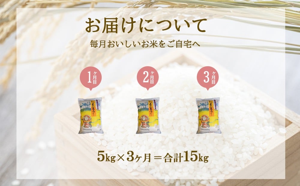 【3ヶ月定期便】えびの産 ひのひかり 5kg×3ヶ月 合計15kg