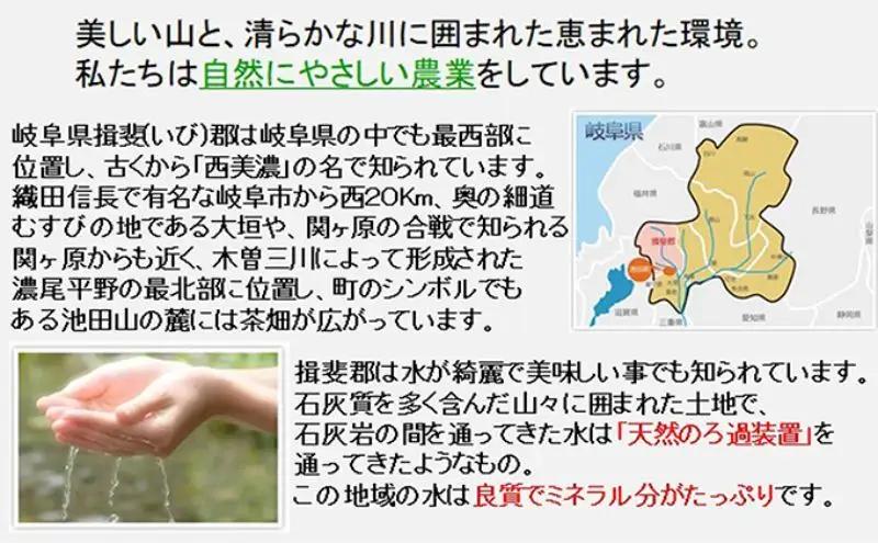 【令和7年産】特別栽培米 30kg【白米、7分ツキ】（夢ごこち） 7分ツキ