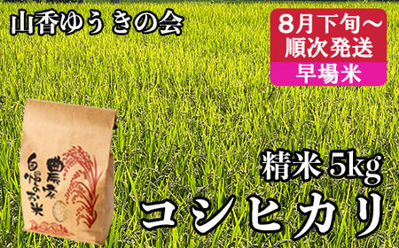 【 8月下旬発送開始 令和7年産 新米 先行予約 】山香ゆうきの会の米 5kg（精米：コシヒカリ） 新米 5kg 米 早場米 先行予約 先行受付 ＜002-021＞