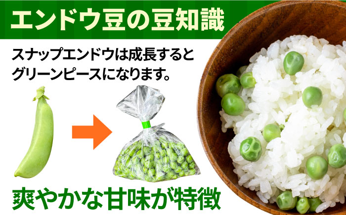 【2025年1月~発送】スナップエンドウ　サイズ違い　食べ比べセット　100g × 5袋 / 小分け / 南島原市 [SFL001]