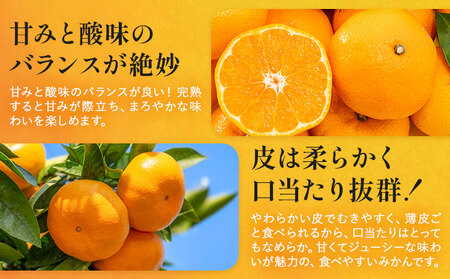 温州みかん 約10kg 日本フルーツ株式会社 熊本県 荒尾市 《11月上旬-12月上旬頃出荷》 デコポン 果物 秀品 フルーツ スイーツ デザート ギフト ご贈答