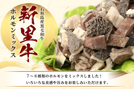 石垣島産 黒毛和牛 新里牛 ホルモンミックス(1kg×1) 【 7種～8種 ミックス 牛肉 肉 ホルモン モツ もつ 煮込み フワ ハツ ミノ センマイ 牛汁 石垣 石垣島 沖縄 】SZ-23