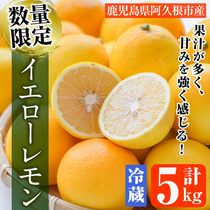 【ふるさと納税】＜2025年4月以降順次発送予定＞数量限定！冷蔵品イエローレモン(5kg)国産 マイヤーレモン 檸檬 オレンジ 果実 果物 フルーツ 柑橘 デザート 期間限定【桐野柑橘株式会社】a-20-9-z