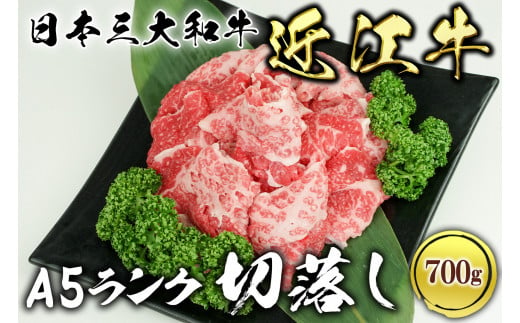 
近江牛A5ランク切落し700g
