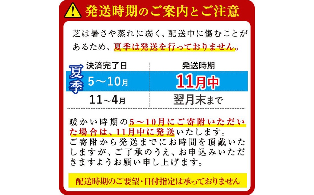 ＜先行予約受付中！R6年11月頃配送予定＞天然芝＜野芝＞2平米! a1-110