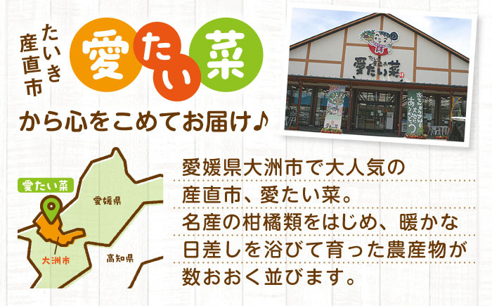 【全12回定期便】旬を味わう新鮮野菜と果物の詰め合わせセレクションボックス（8種以上）