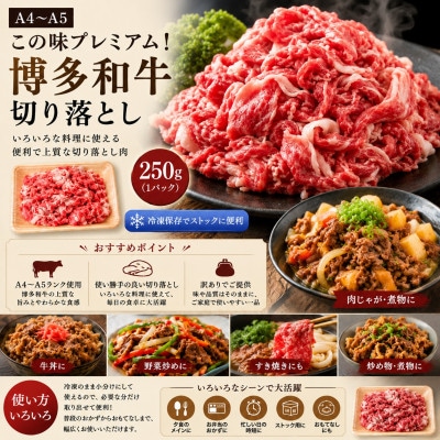 訳あり!【A4〜A5】この味プレミアム!博多和牛切り落とし　250g(大野城市)【配送不可地域：離島】【1750480】