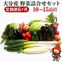 【ふるさと納税】【6ヶ月定期便】九州野菜セット 大分県 春夏秋冬野菜セット10〜15品×6回 毎月1回 JA直売所直送野菜 新鮮 産地直送 送料無料