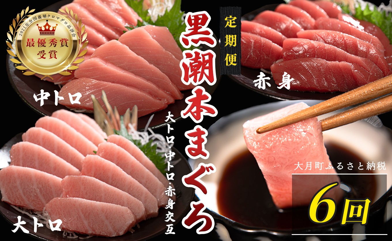 
                  訳あり 不定貫 定期便 6回 国産 養殖本マグロ 大トロ・中トロ・赤身 3種 毎回300g 月替わり×6回 黒潮本まぐろ 全国養殖クロマグロ品評会 最優秀賞受賞 6ヶ月 6か月 半年 柵 刺身用 本マグロ クロマグロ 本鮪 まぐろ 鮪 お刺身 さしみ 大トロ トロ 中トロ 赤身 海鮮丼 漬け丼 手巻き寿司 鉄火丼 まぐろ丼 小分け 個包装 真空パック 冷凍 不揃い 家庭用 海鮮 高知県 10万円
                