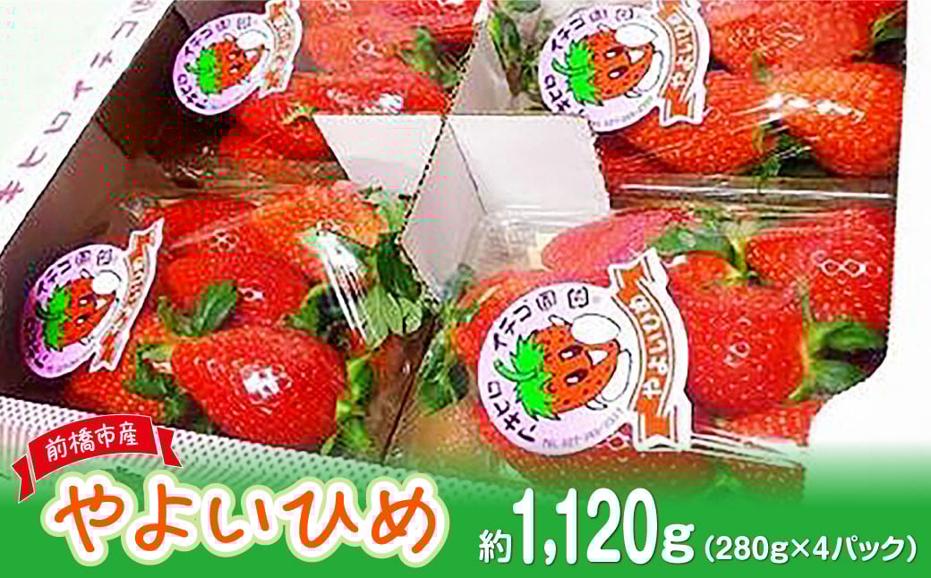 
            【2026年 先行予約】 いちご やよいひめ 約280g×4パック (箱入り) 合計1120g | イチゴ 苺 朝採れ やみつき高品質 たっぷり 贈答用 新鮮 完熟 いちご 旬 苺 ストロベリー 高級 産地直送 果汁 甘い あまい 人気 高評価 高糖度 ごほうび プレゼント 群馬県 前橋市
          