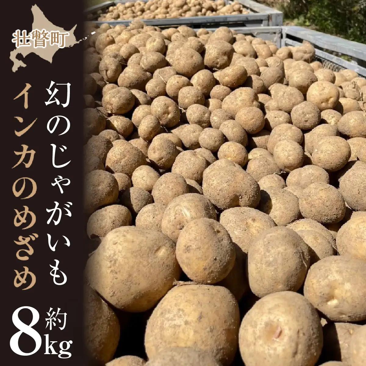 【先行予約】幻のじゃがいも インカのめざめ 約8kg 北海道壮瞥町産 8月下旬頃よりお届け  SBTO002