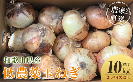 ［2026年発送分・先行予約］農家さん直送 低農薬玉ねぎ 2Lサイズ以上 10kg程度［4月中旬～7月中旬頃発送予定］［KF15］