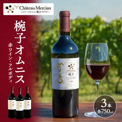 ふるさと納税 上田市 ワイン 椀子オムニス 3本 セット 750ml シャトー・メルシャン 赤[54040439]