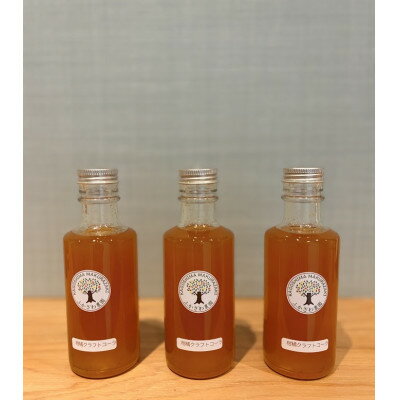 【ふるさと納税】【父の日】果実から生まれた身体に優しいコーラ【柑橘クラフトコーラ】計540ml A3-387F【配送不可地域：離島】【1731746】