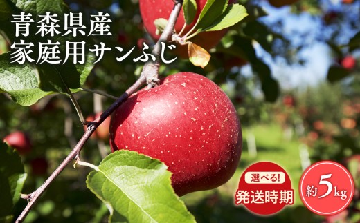 
                  ≪選べる配送月≫【訳あり】家庭用 サンふじ5㎏【青森県 平川市 丸勝木村商店】平川市産 青森りんご りんご リンゴ 林檎 ふじ 訳あり 家庭 わけあり お取り寄せ 先行予約 果物 くだもの フルーツ 
                