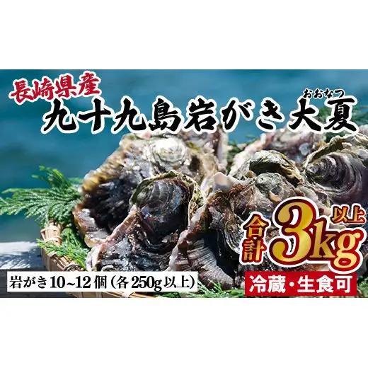 牡蠣 【産地直送】大粒 3kg 冷蔵 牡蠣 かき A163