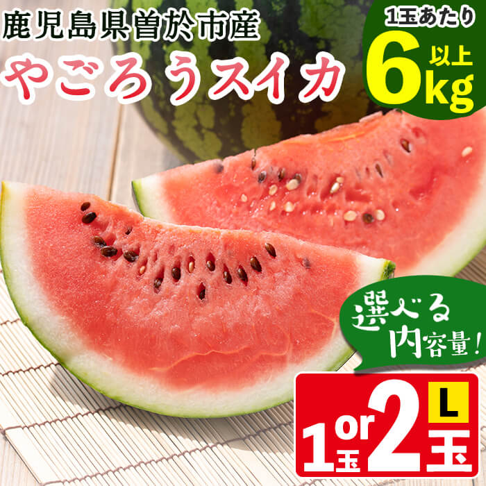 【ふるさと納税】＜選べる内容量！＞＜2025年7月中旬以降発送予定＞《期間限定》やごろうスイカ(1〜2個・L玉 1個6kg以上) すいか スイカ 西瓜 鹿児島県産 フルーツ 果物 ギフト 贈り物 プレゼント【曽於市観光協会】