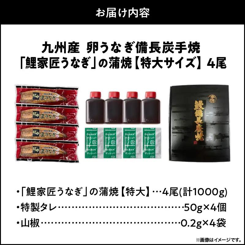 1749-1 【特大】九州産うなぎ 備長炭手焼 うなぎ の 蒲焼 4尾 計1,000g KN029-008 魚 鰻 惣菜 総菜