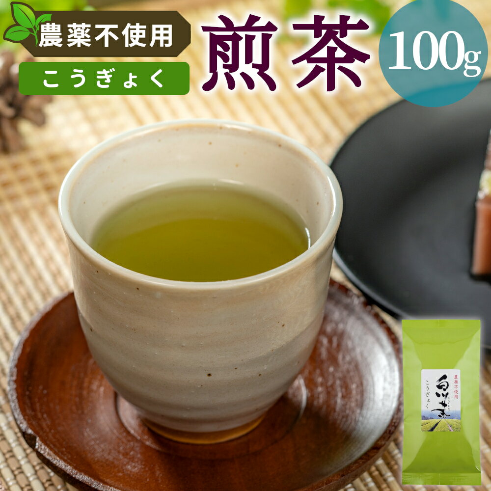 【ふるさと納税】農薬不使用！煎茶 こうぎょく 100g 常磐園 白川茶 美濃白川茶 日本茶 緑茶 煎茶 茶葉 お茶 一番茶 春摘み リーフ 国産 お試し 岐阜県 東白川村