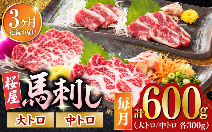 【2025年2月~順次発送】【全3回定期便】馬刺し 2種 計600g (大トロ 中トロ)各300g【山都町（桜屋）】 [YBW104]