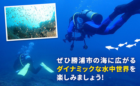 体験ダイビングチケット 勝浦ダイビング協会《90日以内に出荷予定(土日祝除く)》体験 ダイビング チケット  アウトドア アクティビティ 海