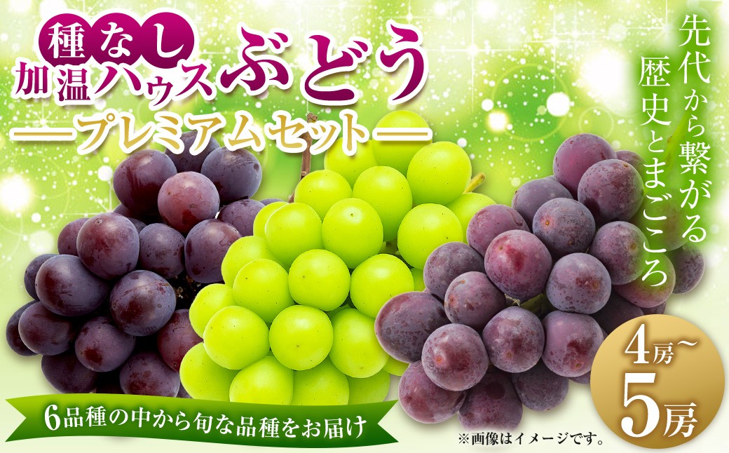 
                  【先行予約】有機配合肥料使用 種なし 加温ハウスぶどう 4～5房 プレミアムセット 【2026年7月下旬より順次発送予定】 【春光園】 ぶどう ブドウ 葡萄 果物 フルーツ 詰め合わせ 福岡県 うきは市 冷蔵
                