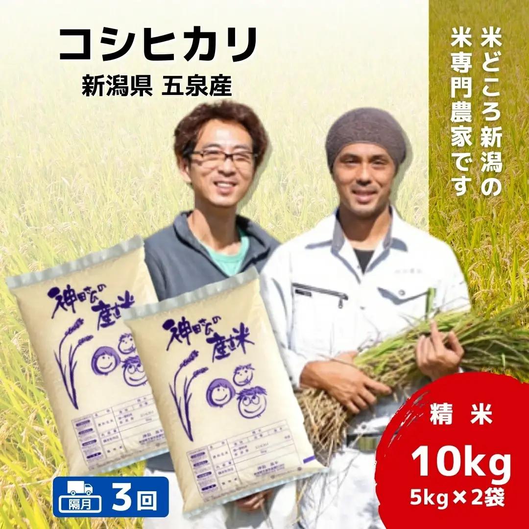 【定期便3回】令和8年産 コシヒカリ 10kg(5kg×2袋)×3回 隔月 こしひかり | 新潟県 五泉市 コシヒカリ