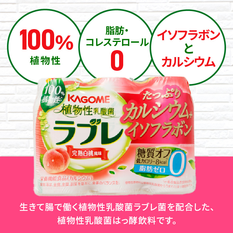 【2ヶ月に1回　計6回定期便】植物性乳酸菌ラブレ　たっぷりカルシウム＋イソフラボン36本（計216本）[052S09-T]_イメージ3