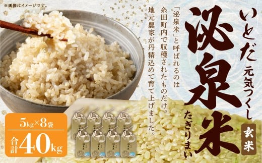 【令和7年産】 いとだ泌泉米 （玄米 5kg×8袋 計40kg） 玄米 お米 米 ご飯 仕送り 国産 福岡県 糸田町