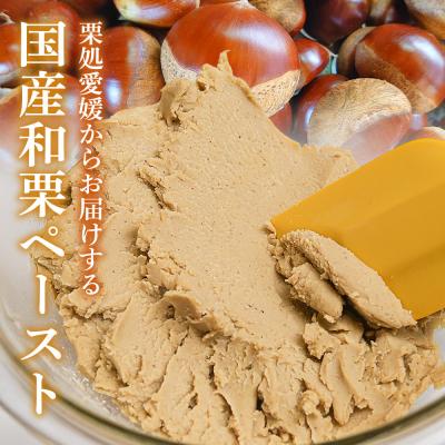 ふるさと納税 西予市 <和栗ペースト 1mmタイプ(加糖)約1kg> 栗 くり　ペースト |  | 01