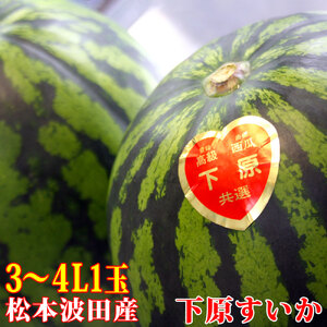 【先行受付：2026年発送】スイカ 下原すいか 信州 松本波田産 3～4L ( 8kg ～ 11kg ) × 1玉 | フルーツ 夏 スイカ 西瓜 大玉スイカ シャキ感 甘い ふるーつ 果物 野菜 長野県 松本市 信州産 人気 ふるさと納税