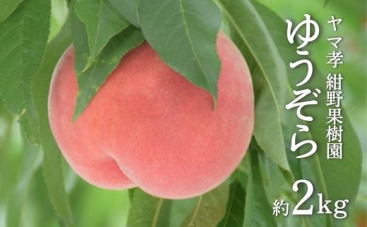 【ふるさと納税】No.2235もも ゆうぞら 約2kg【2025年発送】