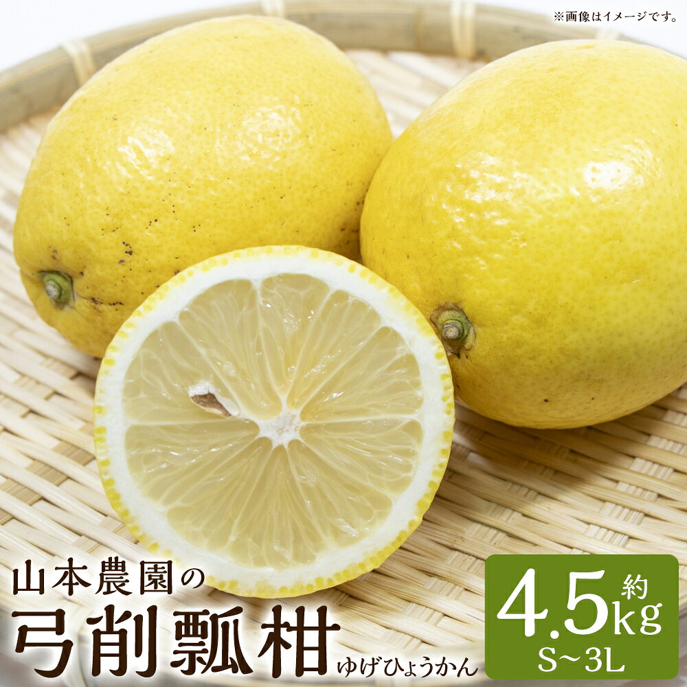 【ふるさと納税】山本農園の珍果 弓削瓢柑 （ゆげひょうかん） 4.5kg 【2027年3月下旬～4月下旬発送予定】 フルーツ 果物 柑橘 オレンジ みかん ひょう柑 佐賀県 太良町 N127x2
