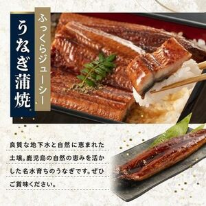 106-05 かごしま黒豚しゃぶしゃぶ用2パック・鹿児島県産ウナギ1尾のプチ贅沢セット