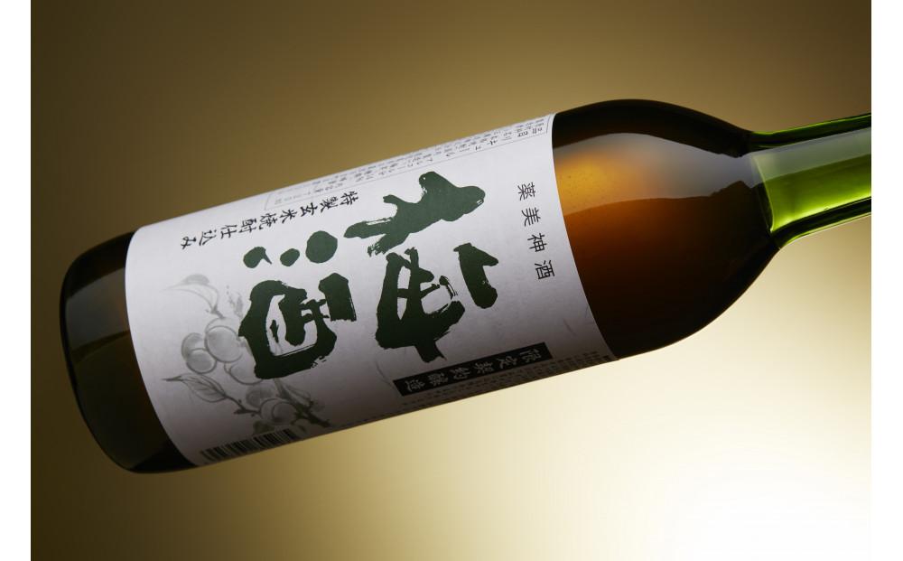 特製 玄米焼酎仕込み 梅酒 720ml × 2本 リキュール 小正醸造 和蔵の稔りブランド 発売元 株式会社片山