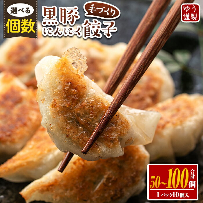 手づくり黒豚にんにく餃子 計50個(10個入り×5P) 特製餃子のタレ付き！