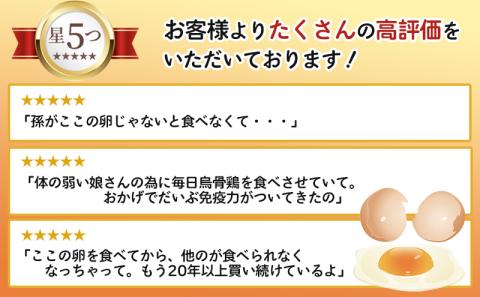 遠州森町　生で食べて欲しい烏骨鶏の卵　20個
