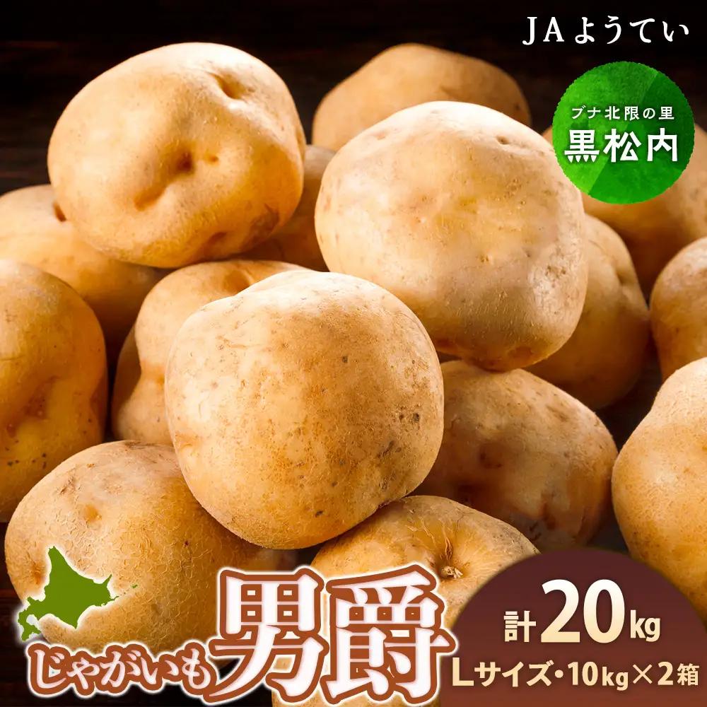 【2026年秋発送 先行予約】じゃがいも 馬鈴薯（男爵）Ｌサイズ　20kｇ＜JAようてい＞
