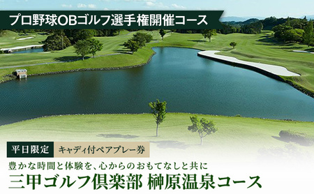 ゴルフ利用券 キャディ付 ペアプレー券 ゴルフ利用券【ペア】【平日限定】