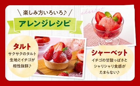 《2026年発送》【数量・期間限定】宮崎県産イチゴ 4パック_M359-004-02