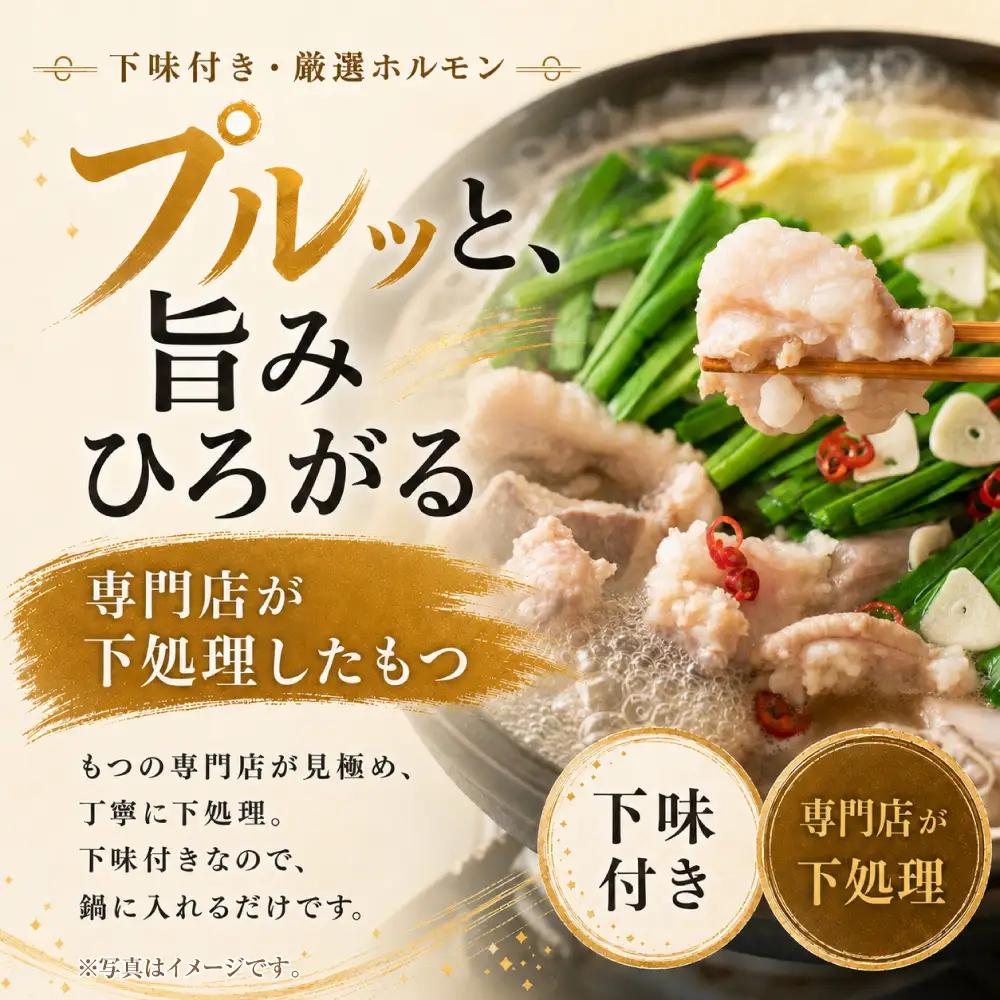 Z59-49 博多味噌もつ鍋【訳あり】セット2人前【メール便対応】