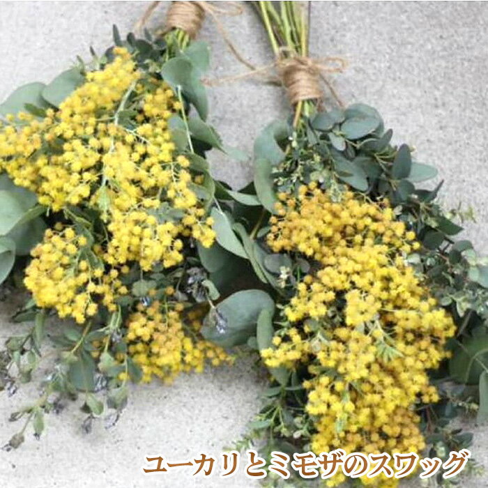 【ふるさと納税】No.180 毎年人気！春を運んでくるユーカリとミモザのスワッグ ／ 花 インテリア 飾り 送料無料 大阪府