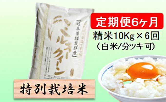 特別栽培米★[定期便] 6カ月★毎月 精米10kg（白米/7分/5分ツキ可）【ミルキークイーン】　玄米は別に出品 お米 令和7年産 低アミロース モチモチ お弁当 おにぎり 安心 安全 美味しい 糖質 