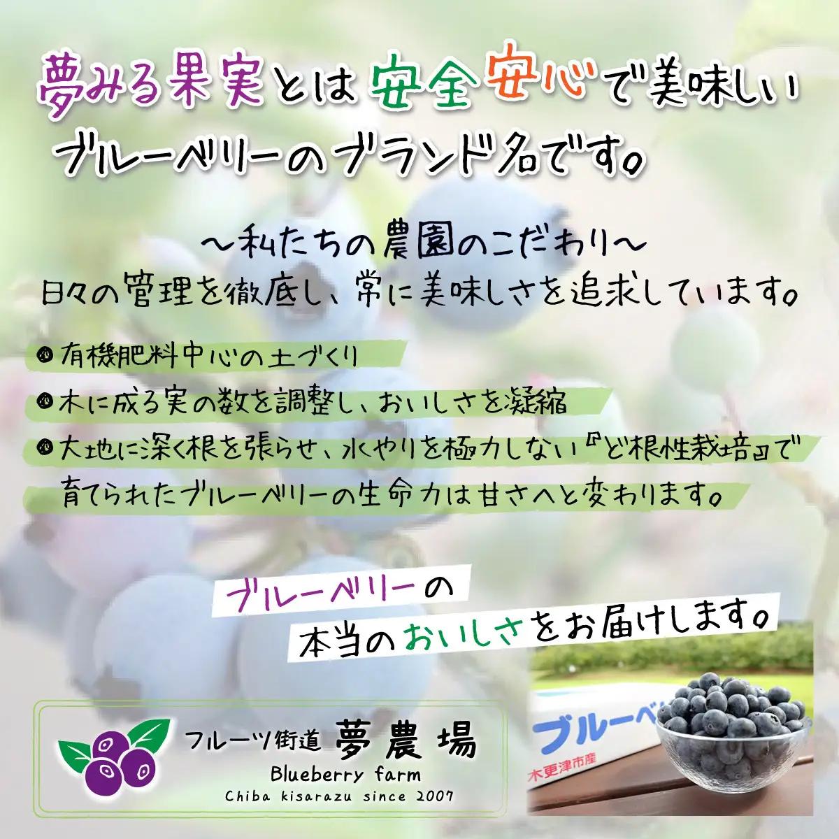 ＜有機栽培ブルーベリー使用＞夢みる果実ブルーベリージャム　140ｇ×3本