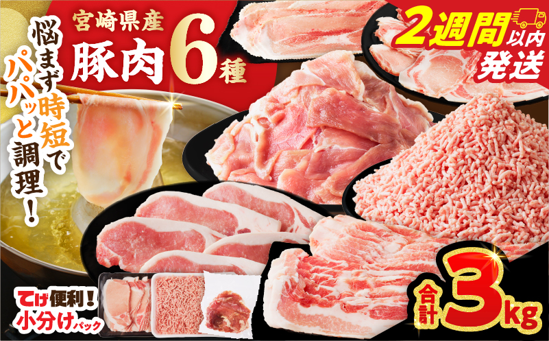 【2週間以内発送】≪宮崎県産≫豚肉6種＼てげスゲーセット／合計3kg 肉 豚 豚肉 おかず 国産_T009-0315-2W