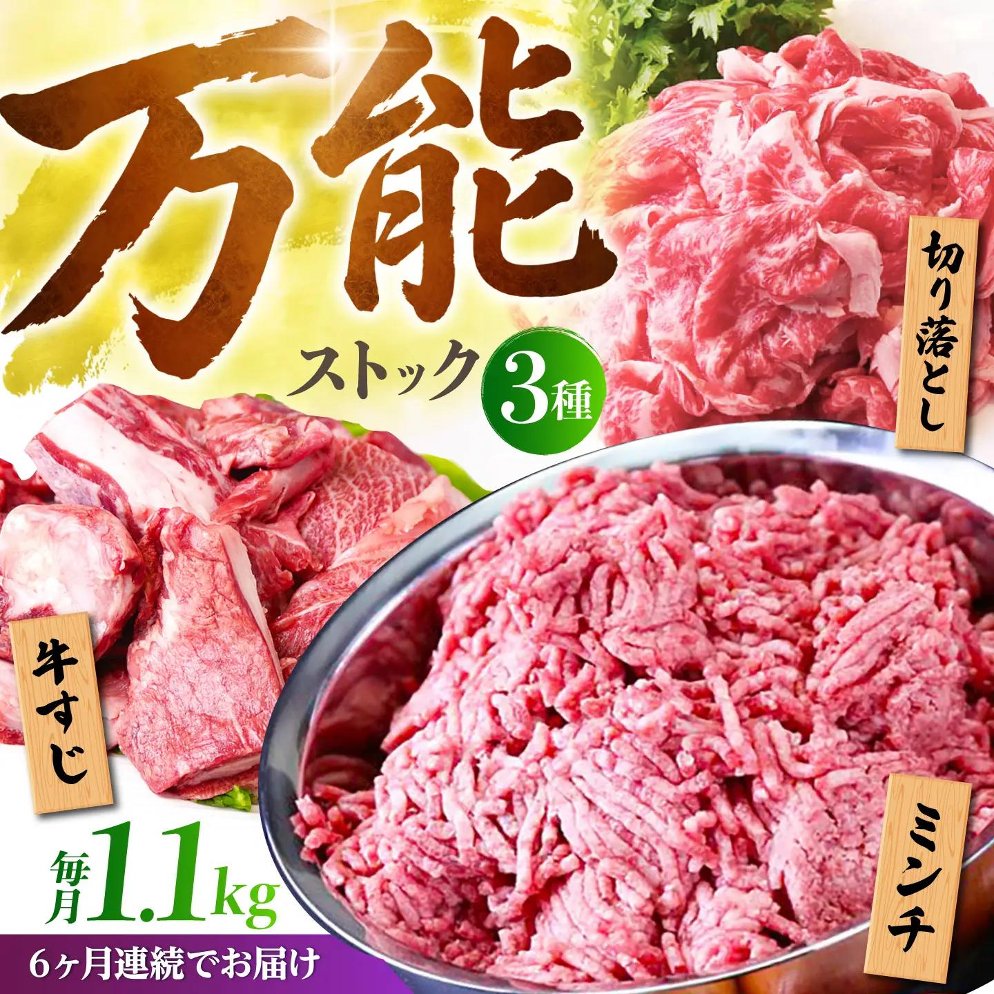 【全6回定期便】佐賀牛 A5 万能ストック3種セットA（切り落とし 500g・ミンチ 300g・牛すじ 300g） HAD122  切り落とし
